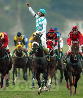 07.08.2005 - Jorge William - ESP - Grande Pêmio Brasil de Turfe, no Jockey Clube do Rio de Janeiro. ( 7º pàreo ). Vencedor, Marcelo Almeida montando o cavalo Velodrome07.08.2005 - Jorge William - Esp - GP  - Grand Prix Brazil - Brazilian  Jockey Club -  Marcelo Almeida riding Veldrome wins the race