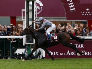 treve-new-full_3015211