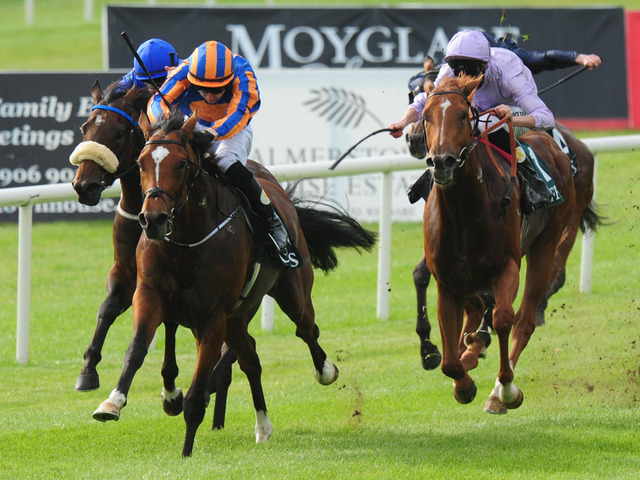 racing-curragh-gleneagles-toscanini-dutch-connection_3204190