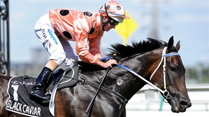 A incrível Black Caviar chega a sua 17ª vitória