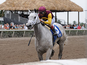 Royal Delta perde em seu reaparecimento