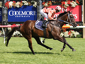 Black Caviar não vai a Dubai