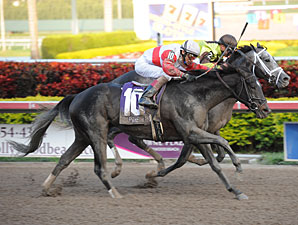 Hymn Book venceu o Donn Handicap (G1), em Gulfstream Park