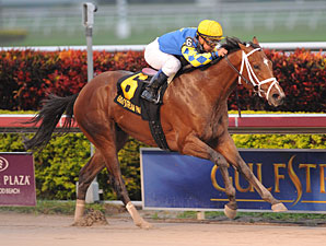 Hansen é derrotado no Holy Bull Stakes (G3)