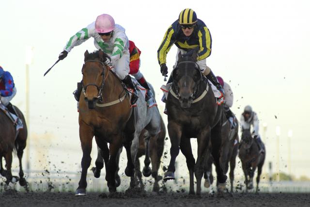 O brasileiro Silvestre de Souza ganha G3 em Meydan