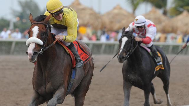 Union Rags tem grande exibição no Fountain of Youth Stakes (G2)