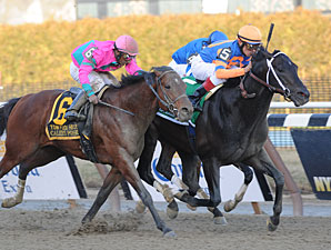 Calibrachoa é bicampeão do Tom Fool Handicap (G3)