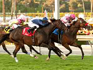 Willyconker vence a milha do Frank E. Kilroy Stakes (G1)