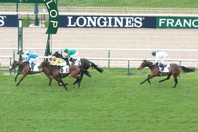 No Prix Allez France (G3), Shareta perde em sua volta às pistas