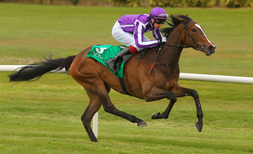 Nesta sexta, dia 1 de junho em Epsom, o Oaks Stakes