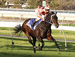 E a grande Black Caviar continua imbatível