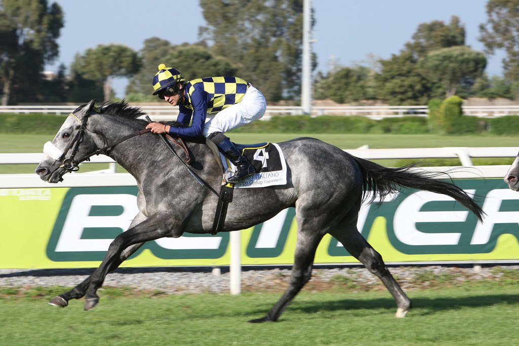 No Premio Presidente della Republica (G1), em Roma, vitória fácil de Crackerjack King