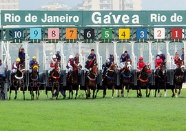 Em dia de GP São Paulo, 10 páreos no Hipódromo da Gávea