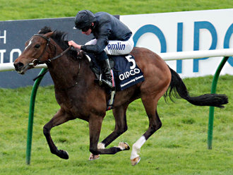 Homecoming Queen pulveriza as rivais no Qipco 1000 Guineas Stakes (G1)