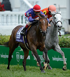 Outro G2 em Churchill Downs foi de Hungry Island