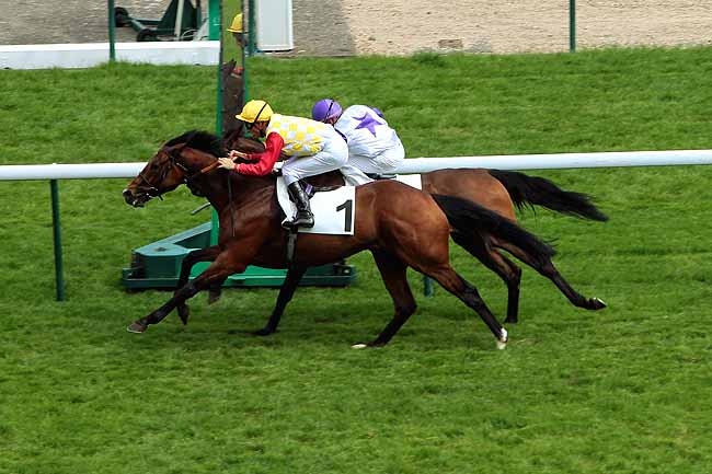 Prix d’Hédouville (G3) foi de Allied Powers