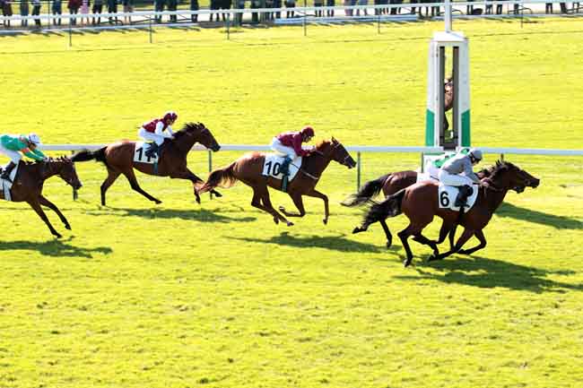 Na última prova de Grupo hoje em Longchamp, triunfo de Beyond Desire