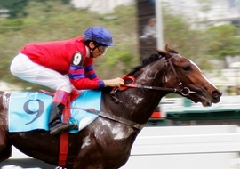 Criterium de potrancas é atração na Gávea