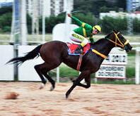 Tríplices Coroas Juvenis agitam a programação de hoje, no Hipódromo do Cristal