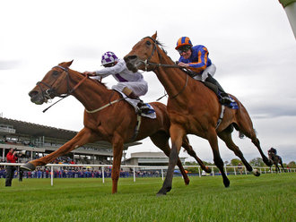 Três provas de Grupo em Leopardstown, na Irlanda