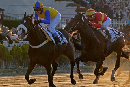 Gran Premio Republica Argentina (G1) foi vencido por Expressive Halo