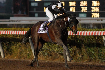 Gran Premio Hipodromo de Chile (G1), foi de Matter of Time