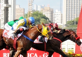 Olympic Thunder, do Haras Regina, vence, em belo final, o GP Presidente da República (G1)