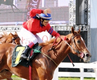 Valiente Y Guapo, do Stud TNT, o melhor no GP Antenor Lara Campos (G2)