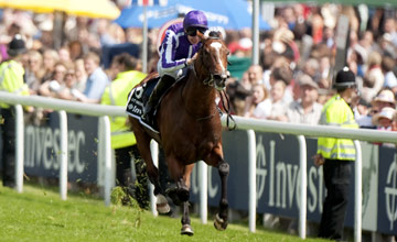 St. Nicholas Abbey é o bicampeão da Coronation  Cup (G1)