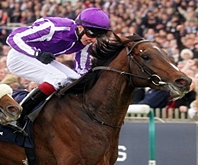 Camelot pode realmente correr o Irish Derby