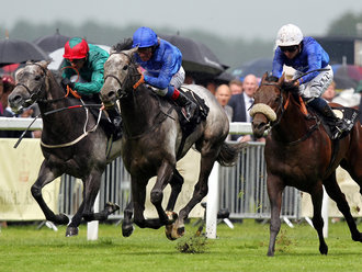 Na Ascot Gold Cup (G1), domínio completo da Godolphin