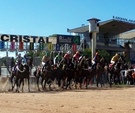 Simulcasting com Cristal tem ótima reunião