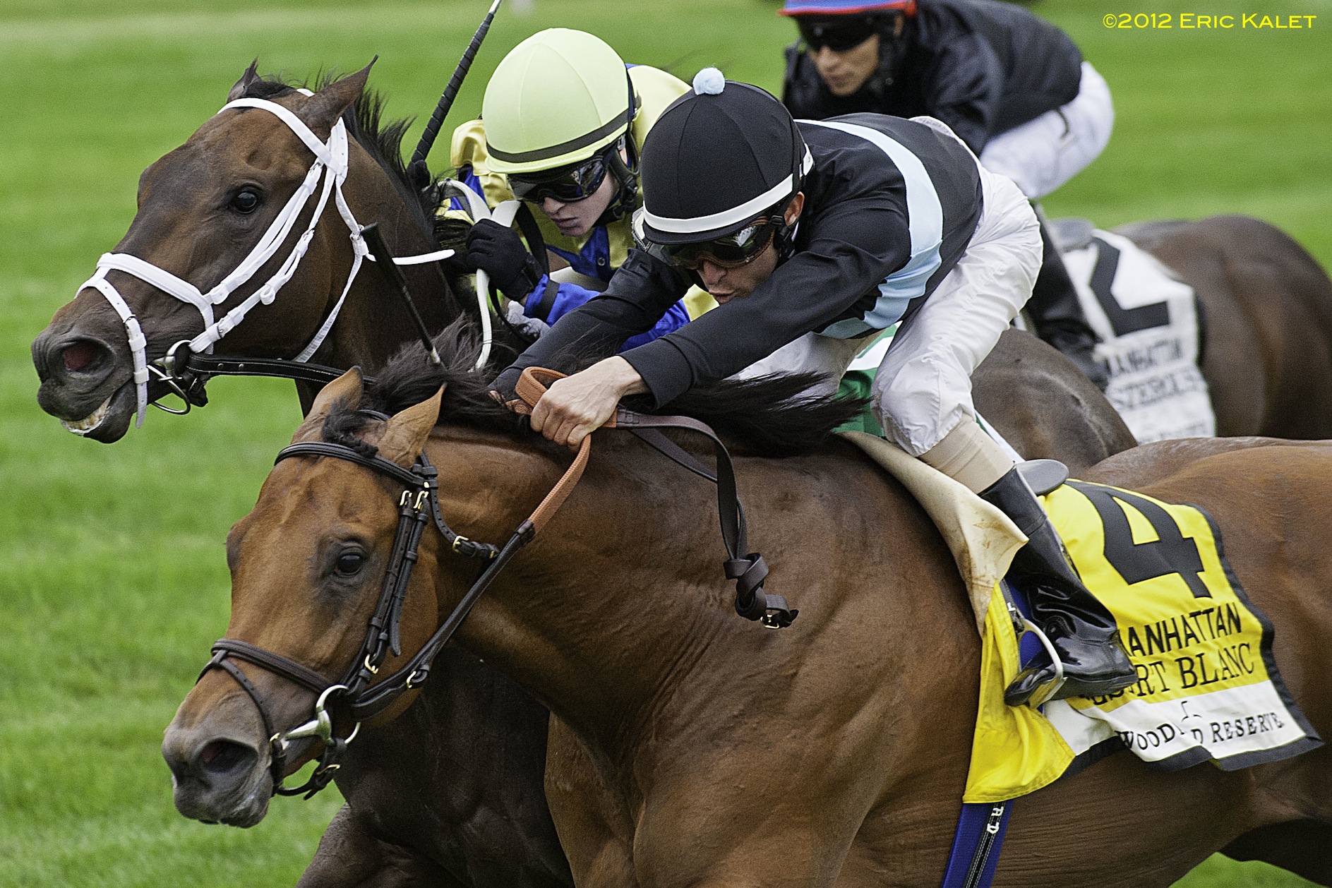 Desert Blanc, em belo final, é o herói do Manhattan Handicap (G1)