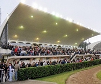 Simulcasting com Paraná tem nove páreos e destaque para o Clássico Criadores (L.)