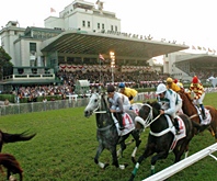 Prova Especial é o destaque do simulcasting com São Paulo