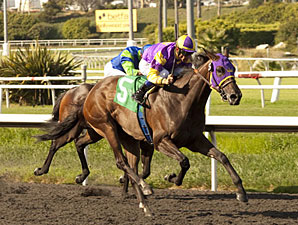 Vanity Handicap (G1), em Hollywood Park, foi de Love Theway Youare