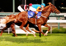 Em atropelada sensacional, Micro Chip vence o GP Jockey Club Brasileiro (G1)