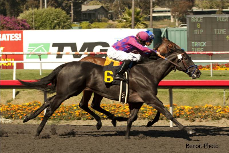 Filha de Macho Uno surpreende no Hollywood Oaks (G2)