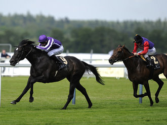 So You Think brilha na grande prova do dia em Ascot