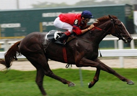 GP Jockey Club Brasileiro (G1), Criterium dos Dois Anos, agita a Gávea