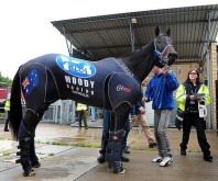 A craque Black Caviar em Newmarket em preparo para o meeting de Ascot