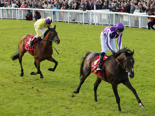 E Camelot continua belamente invicto ao vencer o Irish Derby (G1), em Curragh