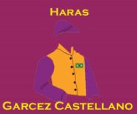 Hoje, liquidação total do Haras Garcez Castellano