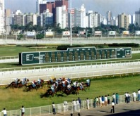 Onze páreos agitam o simulcasting com Cidade Jardim