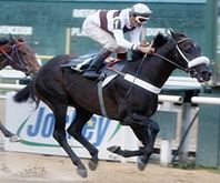 Abertura da Copa de Areia – Milha será sábado