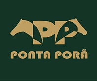 Nesta quinta-feira, Leilão de potros do Haras Ponta Porã