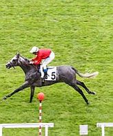 Prix Messidor (G3) foi de Tin Horse