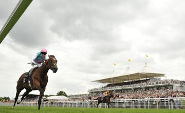 Sete devem enfrentar Frankel, quarta próxima, no Sussex Stakes (G1)