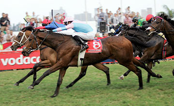 Quatro Gs1 em Greyville, na África do Sul