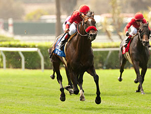 Em Del Mar, Acclamation, de seis anos, venceu o Eddie Read Stakes (G1), em 1.800m